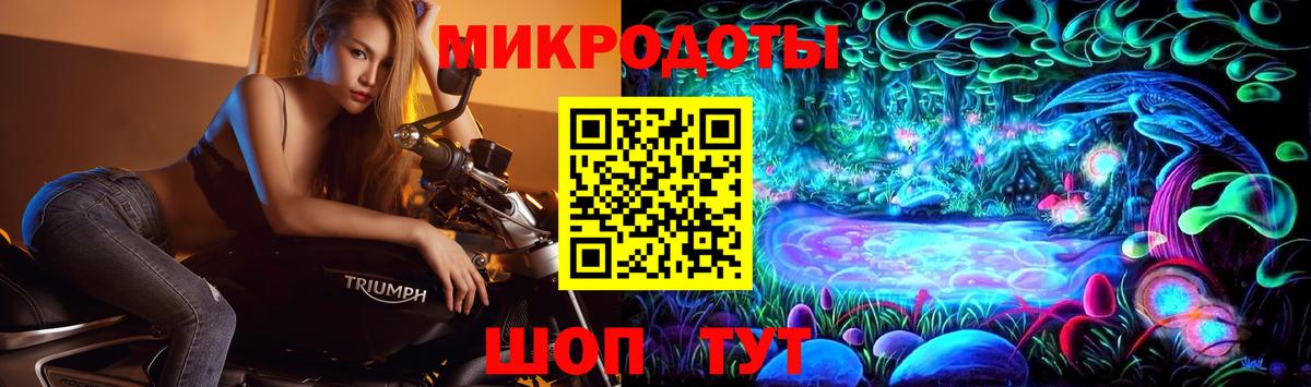 Галлюциногенные грибы Psilocybine cubensis Ржев