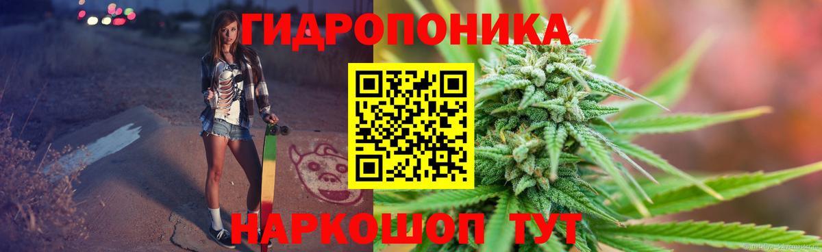Канабис сатива Ржев